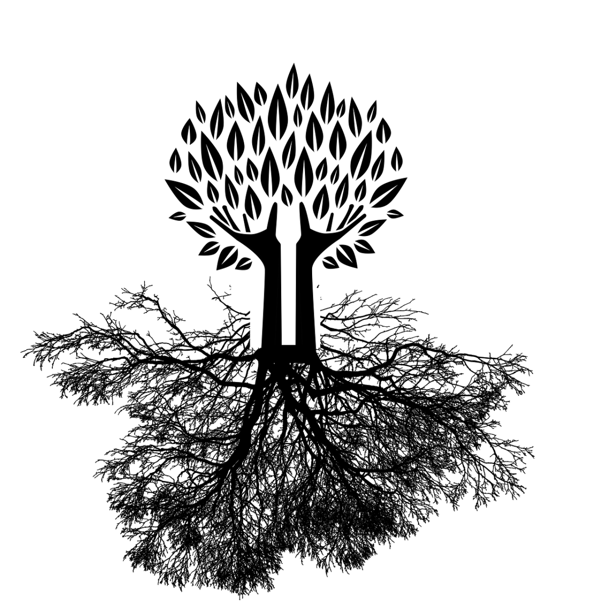 Reconnecting with My&nbsp;Roots